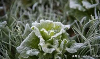 立冬有雨好还是没雨好