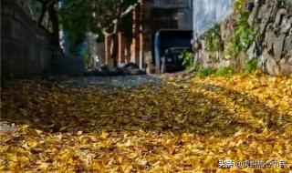 美丽的秋天作文200字