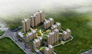 我买了个表是什么意思