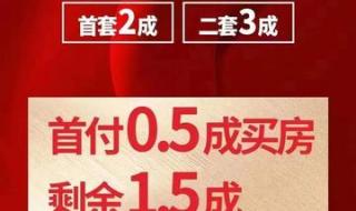 深圳惊现零首付购房_
