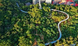 厦门旅游几月份去合适