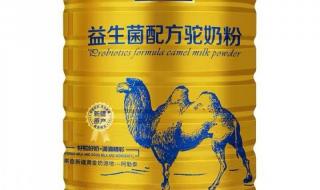 中老年喝什么奶粉最好