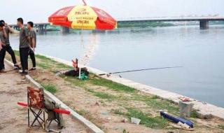 男子钓到一溺亡老人